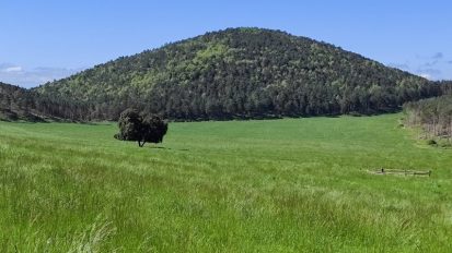 Vistes del pla de Clarà, a la Nou de Berguedà, on hi volen fer una central hidroelèctrica reversible