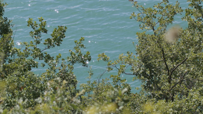 labaells_stills_boix